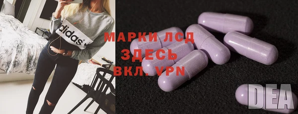 индика Белокуриха