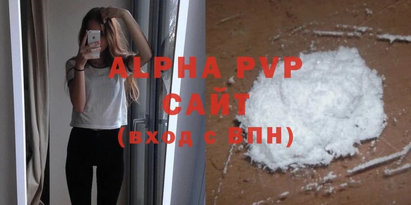 индика Белокуриха