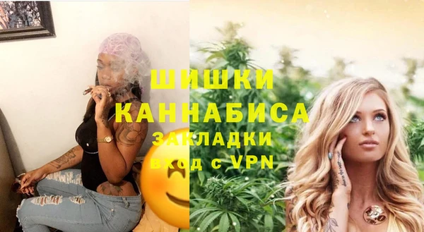 индика Белокуриха