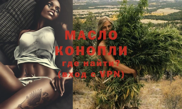 индика Белокуриха