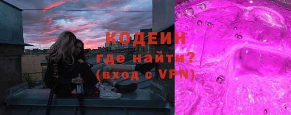 индика Белокуриха